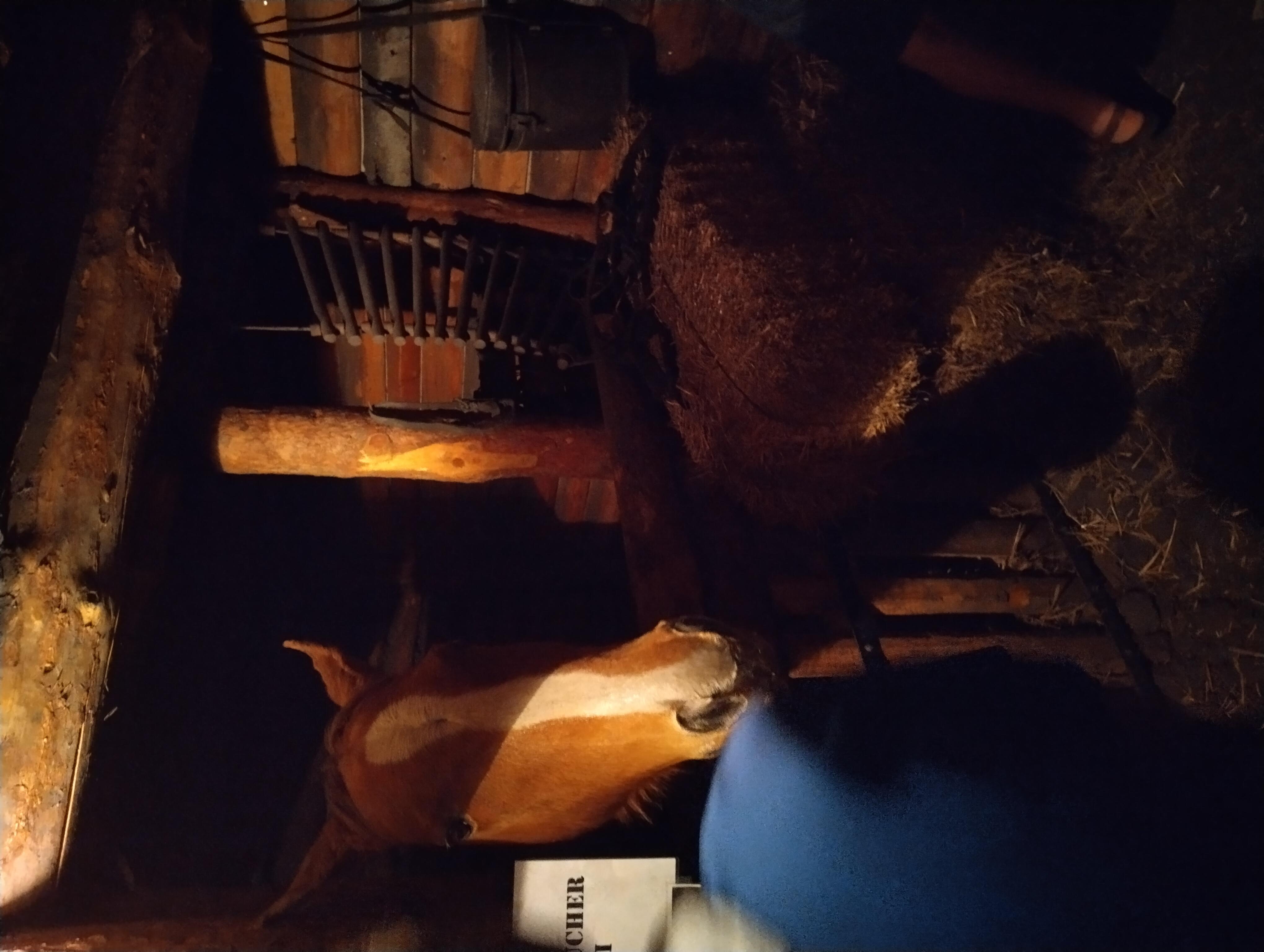 Brassac